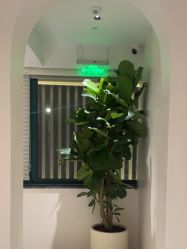 -WENDY·温迪皮肤管理