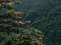 -瓦屋山景区