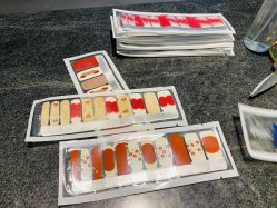 -奈瑞儿美颜美养SPA