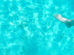 -东姑阿都拉曼海洋公园