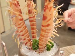 -四季火锅酒家(新濠影汇店)