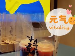 -春丽小马(济南恒隆广场店)