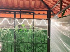 -光头佬钓虾场·烧烤·聚餐·亲子(金沙洲店)