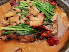 -北平盛世·新京菜·北京烤鸭(劲松·双井店)