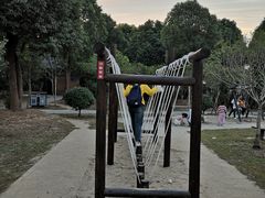 -东山香樟园