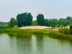 -东郊湿地公园