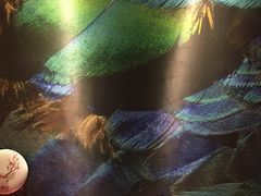 -屿家轻奢农家小院(十三陵店)