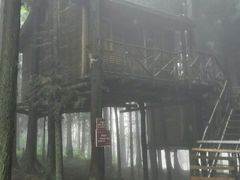 -武陵山森林公园
