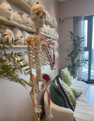 -颜和骨正&明星徒手小颜整骨