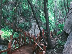 -大岭沟猕猴桃谷风景区