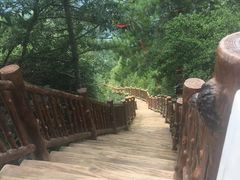 -塔云山