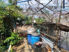 -辉记虾塘海鲜农庄