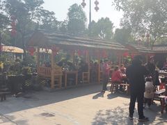 -青城甲(青城山店)