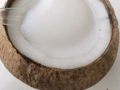 椰子冻-椰爺爺·椰子冻砵仔糕