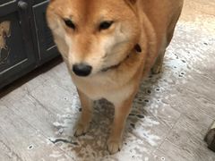 -小时光咖啡馆(北锣鼓巷店)