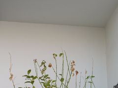 -fishtank鱼缸咖啡(三山街店)