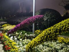 -上海大学(宝山校区)