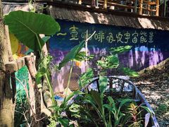 -广州市帽峰山景区