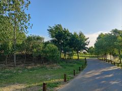 -马家湾湿地公园