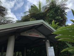 -热带雨林自然公园