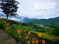 -江南天池