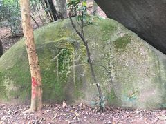 景点-火炉山森林公园