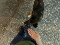 -华都海鲜酒家