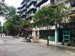 -泡桐树街