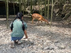 -鹿院坪生态旅游景区