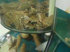 -聚德福海鲜家常菜(刘庄店)