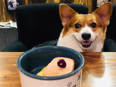 -百好乐宠物友好餐厅(朝外大街店)