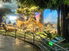 -国家自然博物馆