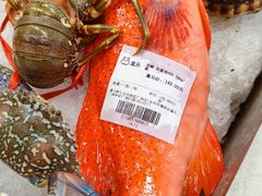 -盒马鲜生(皇庭广场店)