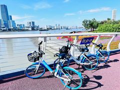 -上海山野camping·户外天幕烧烤·团建拓展营地