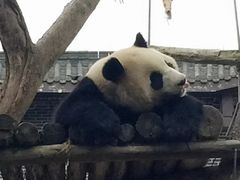 -仙芝竹尖生态园旅游景区