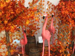 -万达广场(南京江宁店)