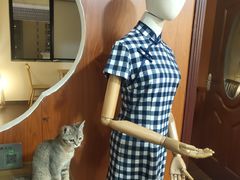 -楼上猫咖(罗湖店)