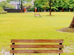 -复旦大学(张江校区)