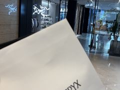 -ARC'TERYX始祖鸟(北京王府中环店)