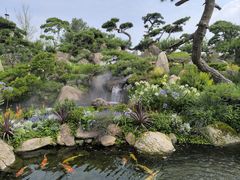 -罗红摄影艺术馆