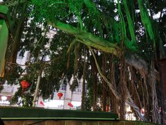 -邵子牙·中华老字号(定安路店)