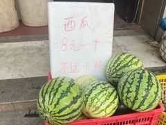 -宁波儿童公园(鄞州区)