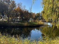 -安德鲁户外烧烤帐篷营地(马泉营店)