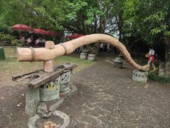 -海口火山口国家地质公园