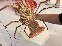 -杨记海鲜楼(三门黑金冠店)