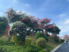 -东莞植物园