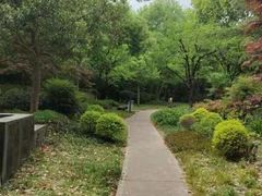 -浦东市民中心-停车场