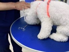 -佳雯宠物医院(金华南路分院)