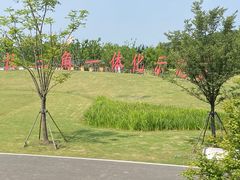 -中加枫华国际学校