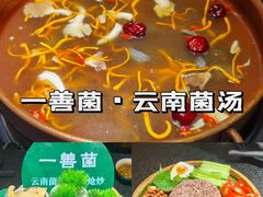 -一善菌·云南菌汤·云南菜(银泰城店)